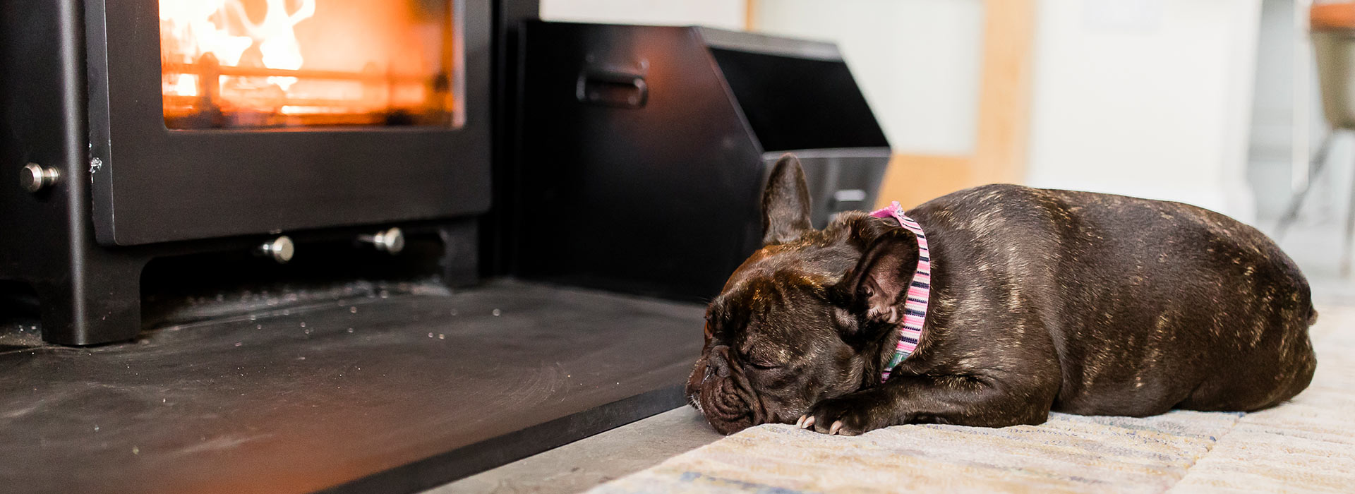 Estate & Letting Agents In Bangor Co Down